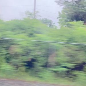 Meet your Posher, Dante